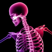 bones'no.One