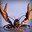 Group Avatar