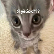 ASE