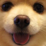 Steam profile picture for @harimm
