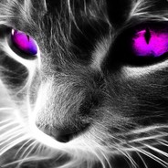 *-*DeD_NaRkoT*-*