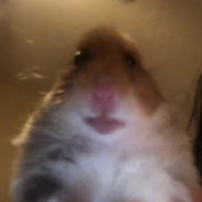 óËDć