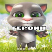 Kynimen