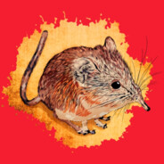 Spidsmusen