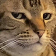 BringacupcakeTTV