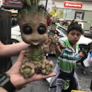 Lil Dolbajoba