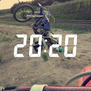 Bustowany_Dzik