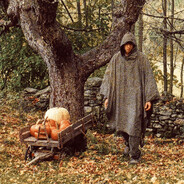 Аватар сообщества Steam