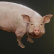Gaming Pih