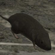 soapywhale