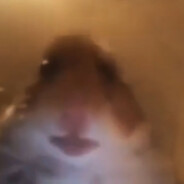 bob