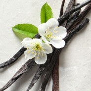 Vanilla