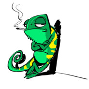 Сhameleon