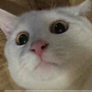 OPEZDOL