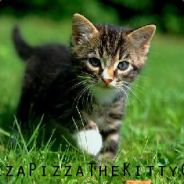 Steam profile picture for @pizza