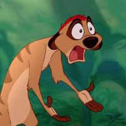 ♥ Timon