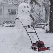 RIPSnowy
