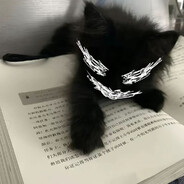 КОТЭК