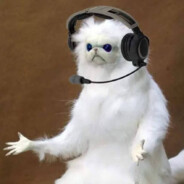 qNT