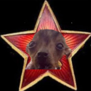 Tоварищ Pieseł