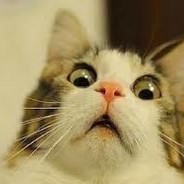 Котяра