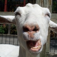 ^^CRAZYGOAT^^