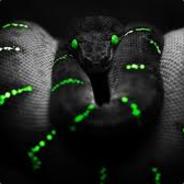 Steam profile picture for @salhi