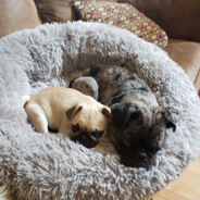 Steam Community :: rootr