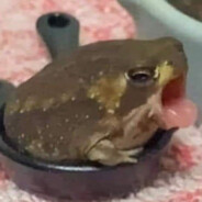 snailmage64