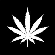 Cheese NL #1