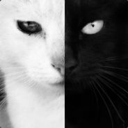 The Cat Form Hell