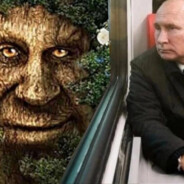 хломидиус
