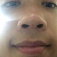 Tùng Bông