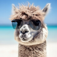 Alpaka mit Brille