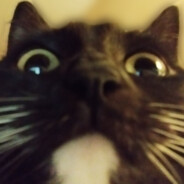 WhyZefr1ck?