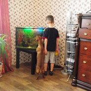Худший игрок доты