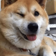 ┌∩┐(◕_◕)┌∩┐