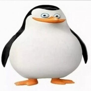 penguin