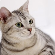 AskDute