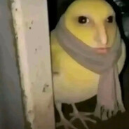 ( ಠ ʖ̯ ಠ)βΔĐØЖΔ( ಠ