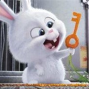 BiuBiuBiu!Rabbit