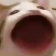 SaV3