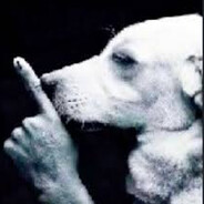 NoDogo