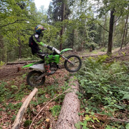 240kg pig | TYGRYSEK