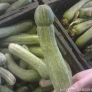暴力的黄瓜