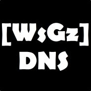 [WsGz] D N S
