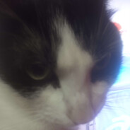 kae