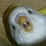 VnnV