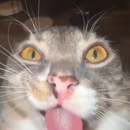 Xallo