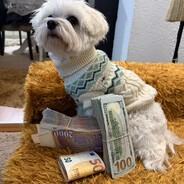 Busty Lara com avatar